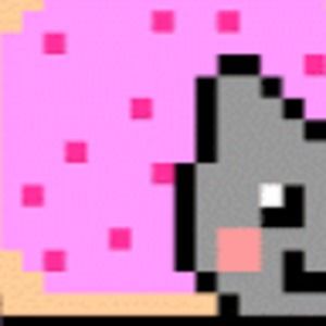 Meet your Posher, Bob